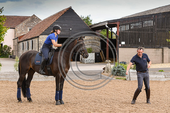 Collective Equestrian