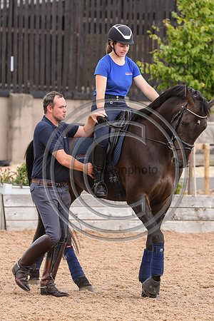 Collective Equestrian