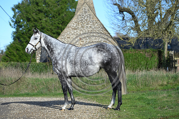 Mare_Selwood_PN54