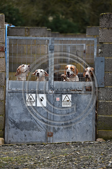 RAHunt_Hunting_PN24_123005