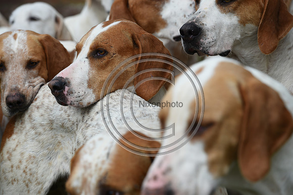 RAHunt_Hunting_PN24_123044