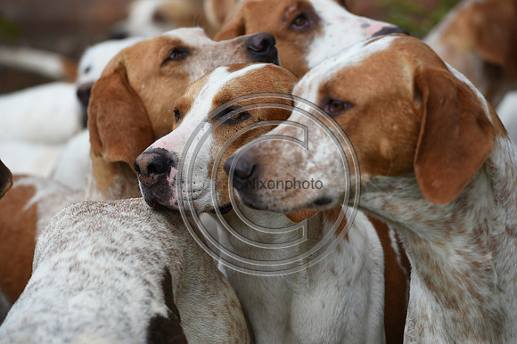 RAHunt_Hunting_PN24_123045