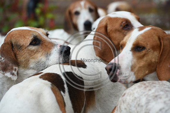 RAHunt_Hunting_PN24_123047