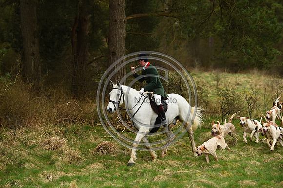 RAHunt_Hunting_PN24_123114