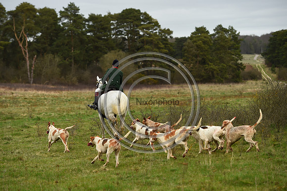 RAHunt_Hunting_PN24_123115
