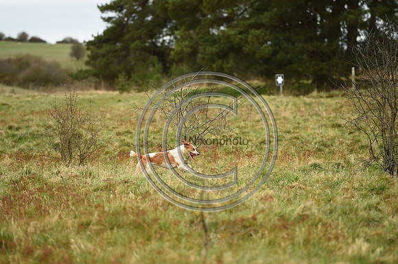 RAHunt_Hunting_PN24_123146