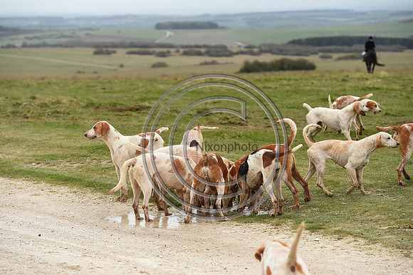 RAHunt_Hunting_PN24_123196