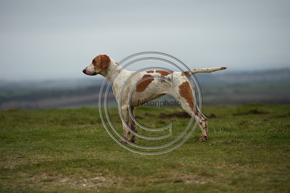 RAHunt_Hunting_PN24_123200