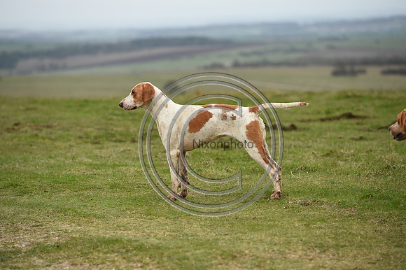 RAHunt_Hunting_PN24_123199