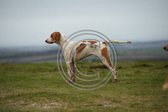 RAHunt_Hunting_PN24_123201