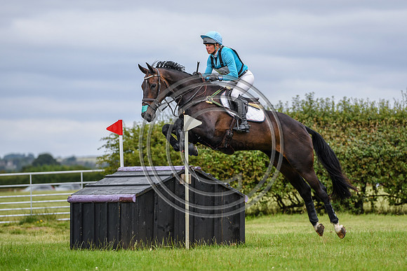 HorseNo951_Aston3_20PN_70275