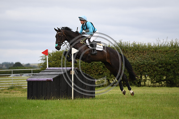 HorseNo951_Aston3_20PN_70275