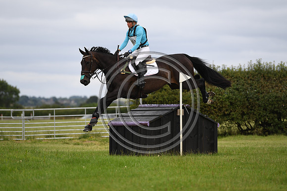 HorseNo951_Aston3_20PN_70277
