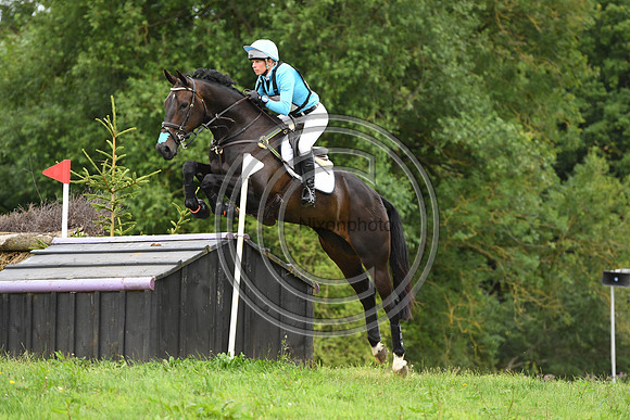 HorseNo951_Aston3_20PN_70278