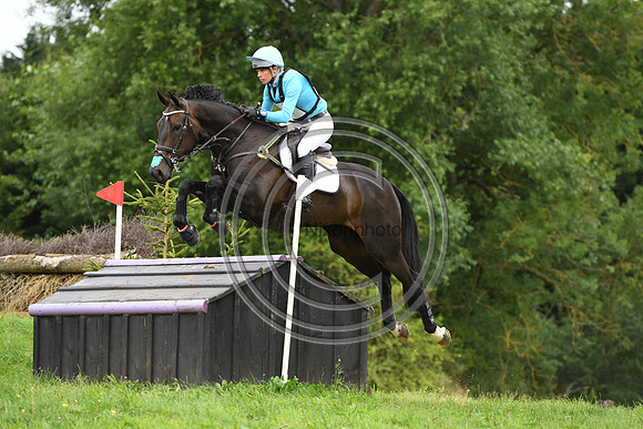 HorseNo951_Aston3_20PN_70279