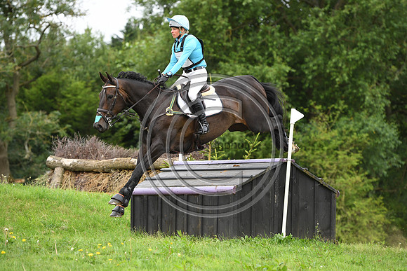 HorseNo951_Aston3_20PN_70280