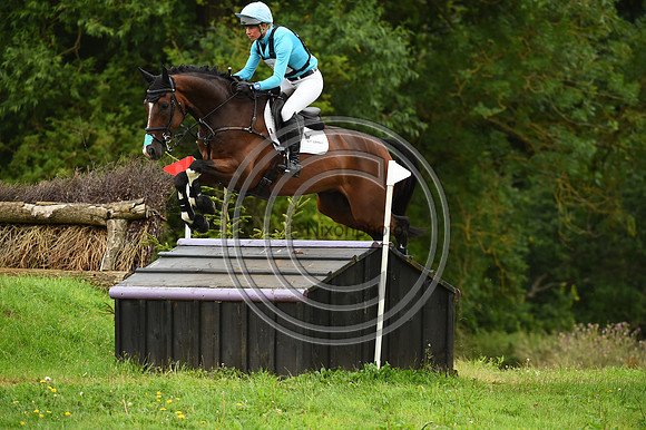 HorseNo861_Aston3_20PN_70575