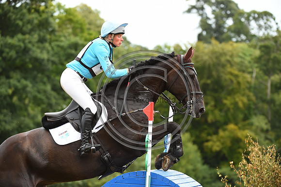 HorseNo880_Bicton_20PN_74945