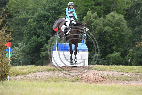 HorseNo988_Bicton_20PN_75314