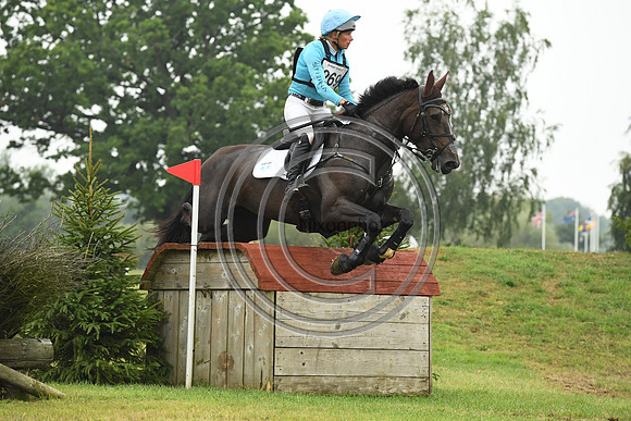 HorseNo269_Aston4_20PN_79119