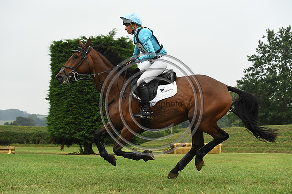 HorseNo258_Aston4_20PN_79203