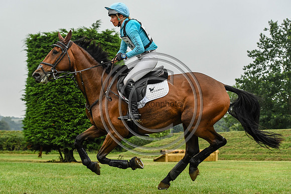 HorseNo258_Aston4_20PN_79203