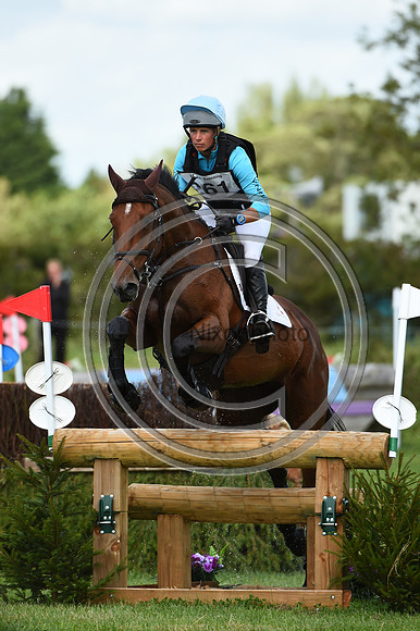 HorseNo261_Burgham_20PN_81939