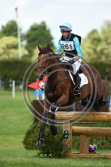 HorseNo261_Burgham_20PN_81940
