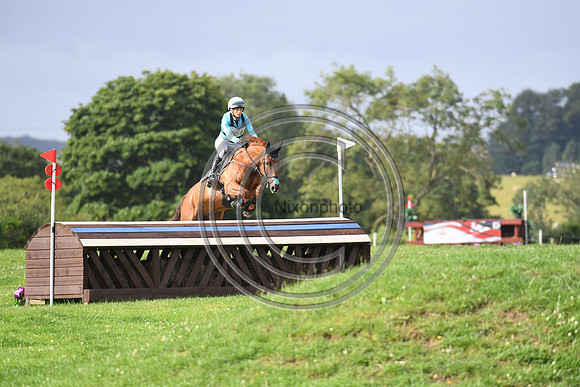 HorseNo701_Burgham_20PN_87986