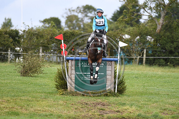 HorseNo821_Burgham_20PN_88407
