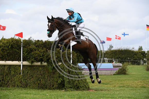 HorseNo821_Burgham_20PN_88413