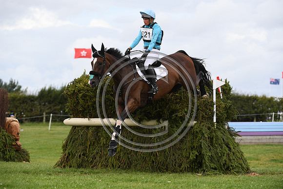 HorseNo821_Burgham_20PN_88417