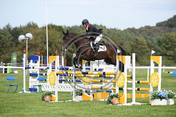 HorseNo476_Burgham_20PN_90708