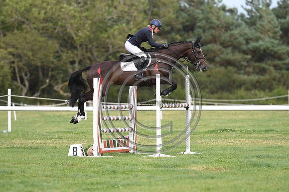 HorseNo476_Burgham_20PN_90709