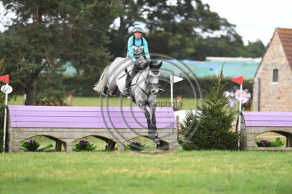 HorseNo957_Burgham_20PN_90872