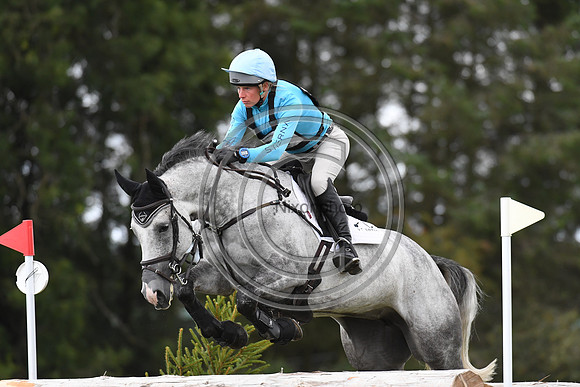 HorseNo957_Burgham_20PN_90873