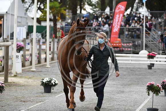 Izzy TAYLOR_ARTFUL TRINITY_CCI5*_20PN_120583