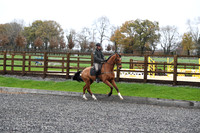 Extended Canter