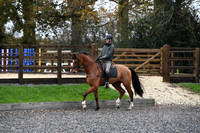 Extended Trot
