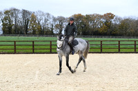 Neck Rein
