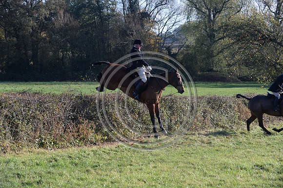 Worcestershire_Hunting_20PN_120899