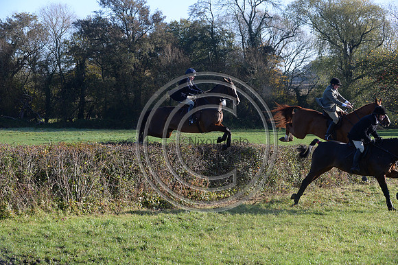 Worcestershire_Hunting_20PN_121231