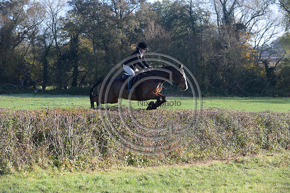 Worcestershire_Hunting_20PN_121219