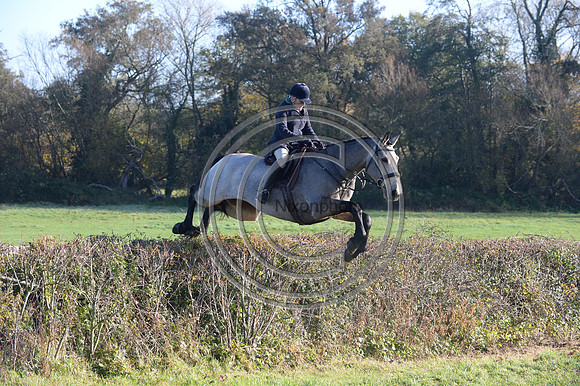 Worcestershire_Hunting_20PN_121202