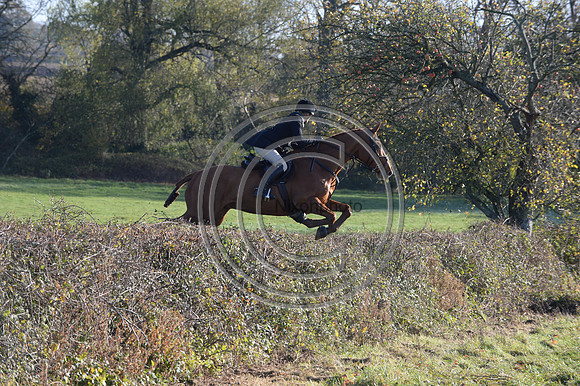 Worcestershire_Hunting_20PN_121148