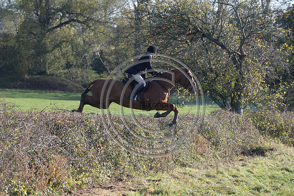 Worcestershire_Hunting_20PN_121149