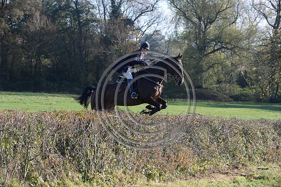 Worcestershire_Hunting_20PN_120905