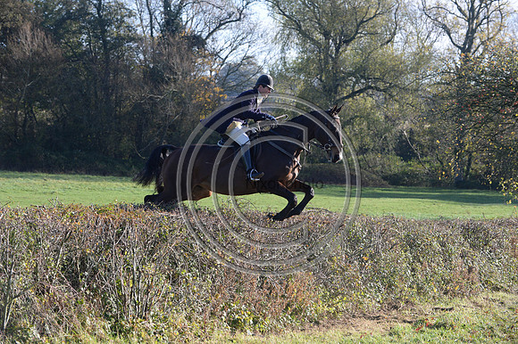 Worcestershire_Hunting_20PN_120906