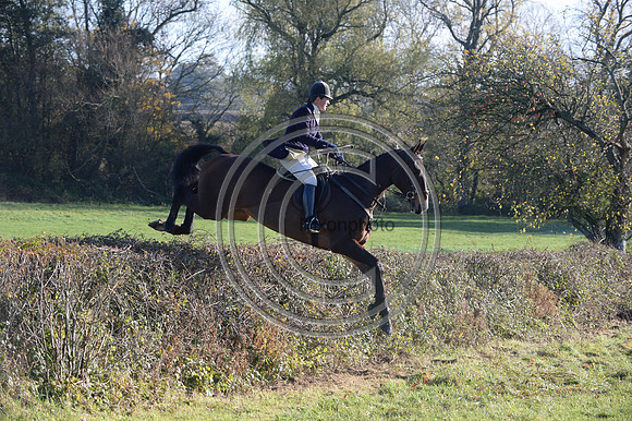 Worcestershire_Hunting_20PN_120908