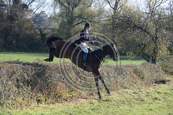 Worcestershire_Hunting_20PN_120909